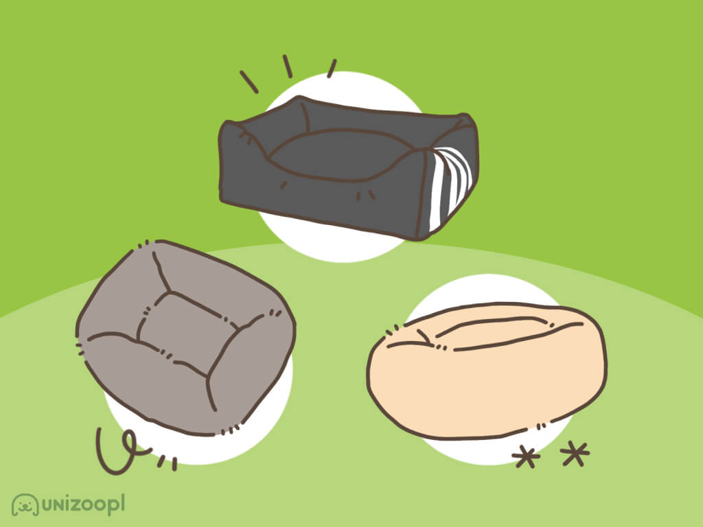 Ranking TOP-10 najlepszych legowisk dla psów na 2025 rok