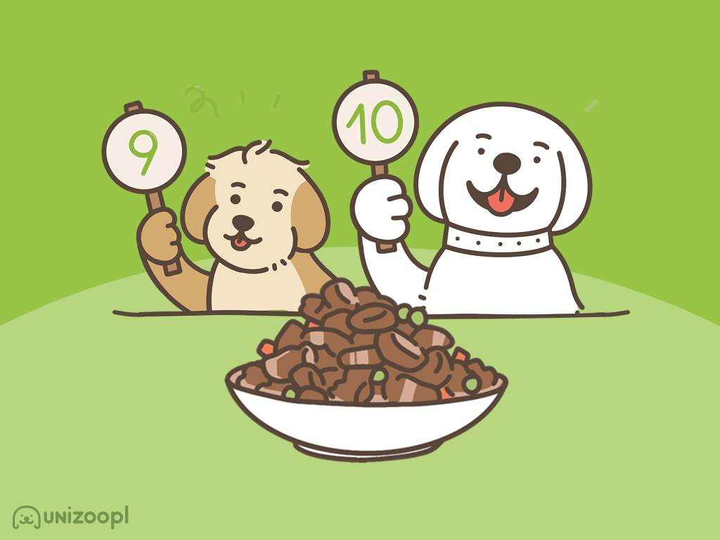 Ranking mokrych karm dla psa 2025 od Unizoo