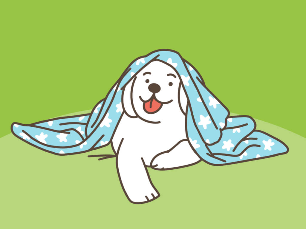 Koce i kołdry dla psa – przygotuj pupila na zimę